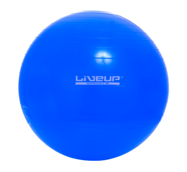 Bola Suiça 65Cm Premium - Suporta Até 300Kg - Azul - Liveup 