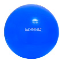 Bola Suiça 65Cm Premium - Suporta Até 300Kg - Azul - Liveup 